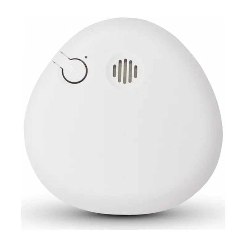 Housegard Pebble SA700 9 V