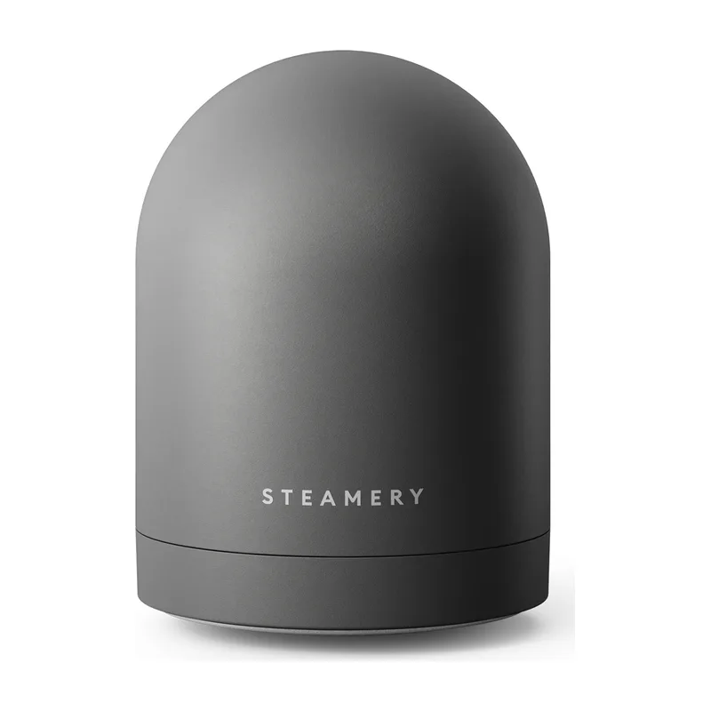 Steamery Pilo Icon